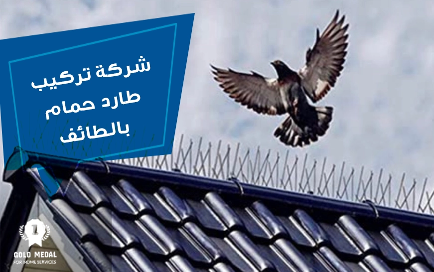 شركة تركيب طارد حمام بالطائف